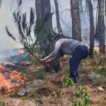 Himalayan Ecotourism Interns working on extinguishing forest fires in the Tirthan Valley