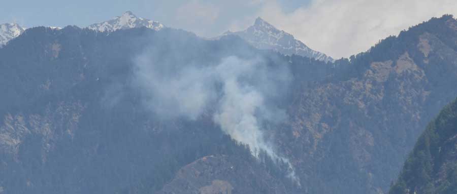 Forest Fires in the Great Himalayan National Park