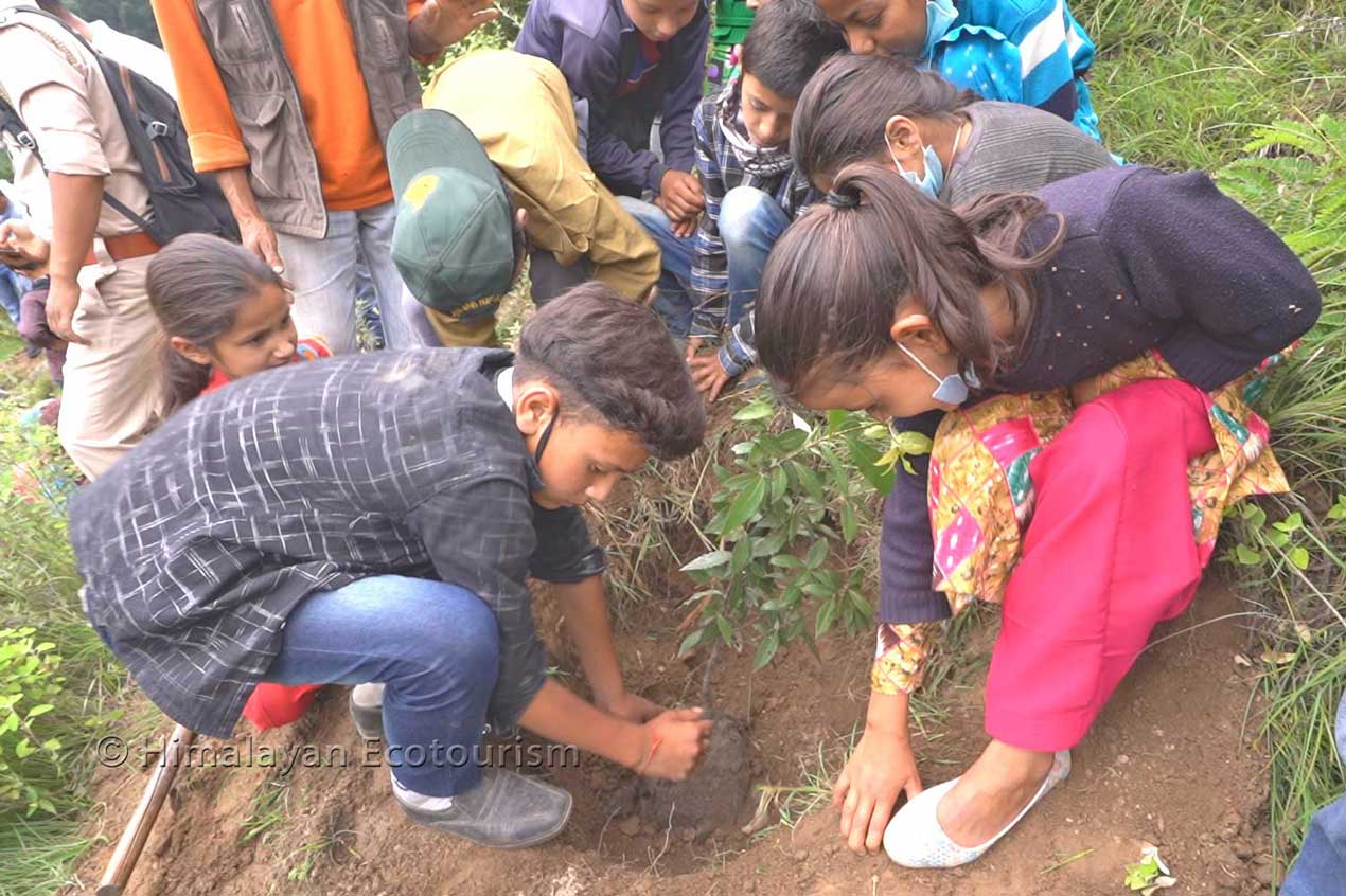 Involving children in Reforestation Program in the Tirthan Valley