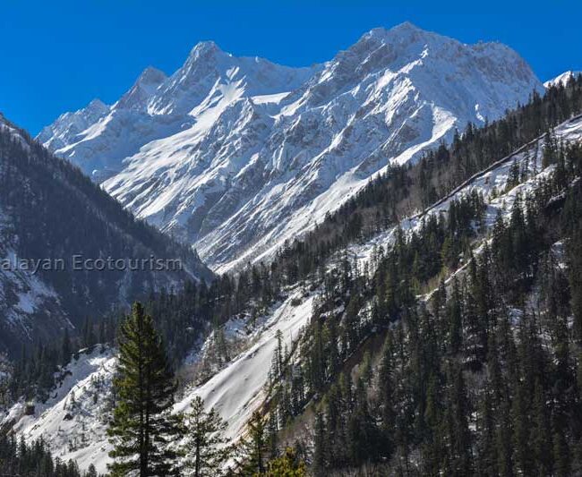 Raktisar trek in the Great Himalayan National Park