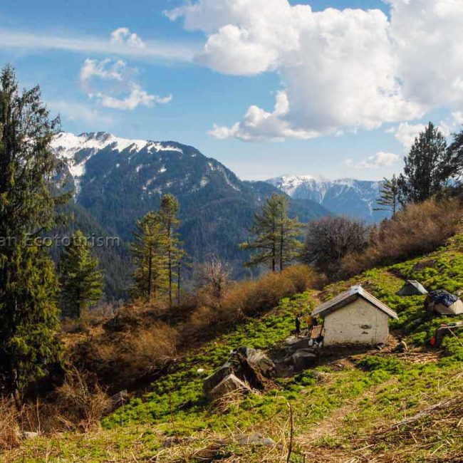 The Shilt hut campsite