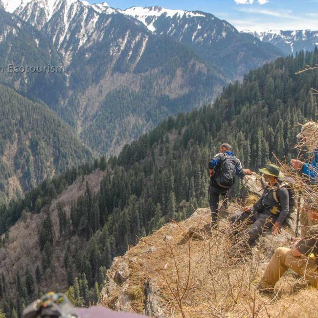 Wildlife on Shilt hut trek