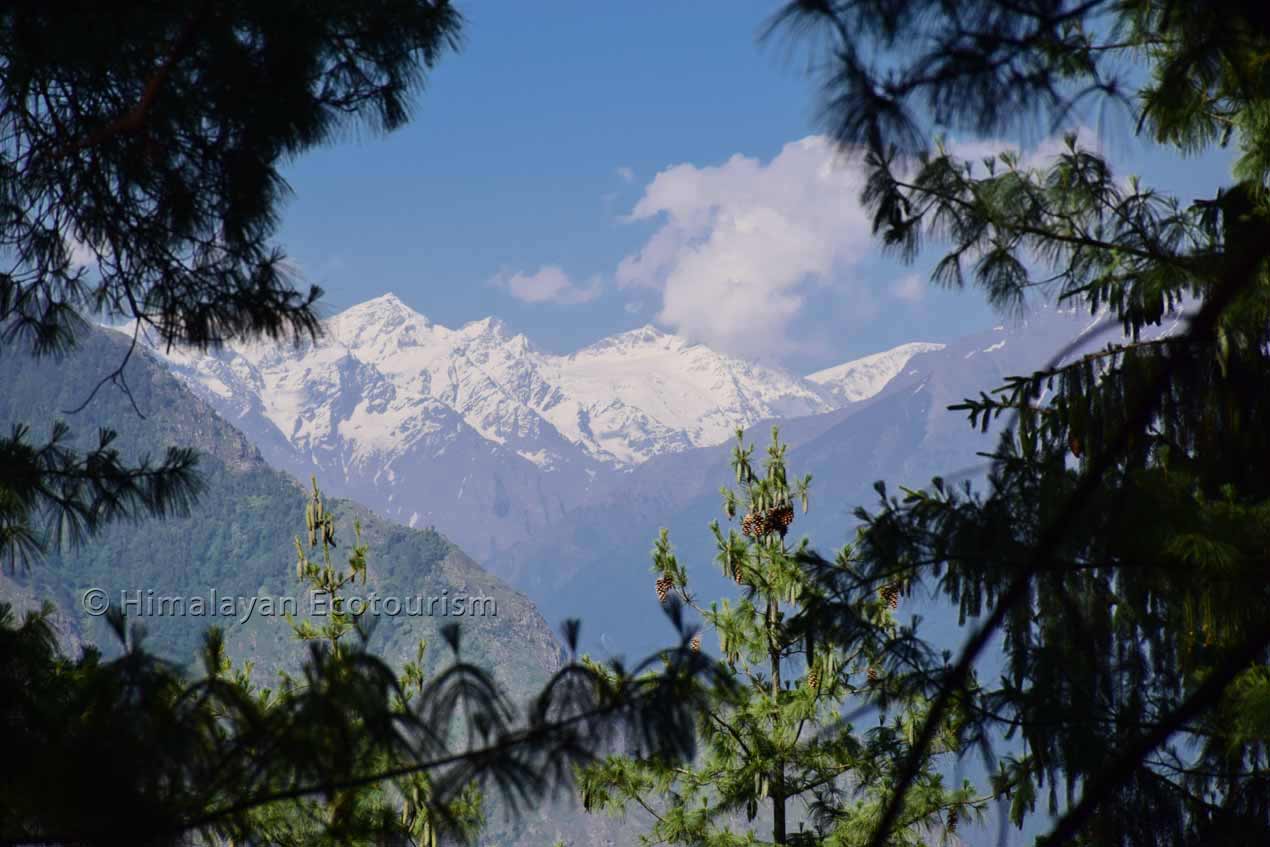 views from Chehni Kothi hike