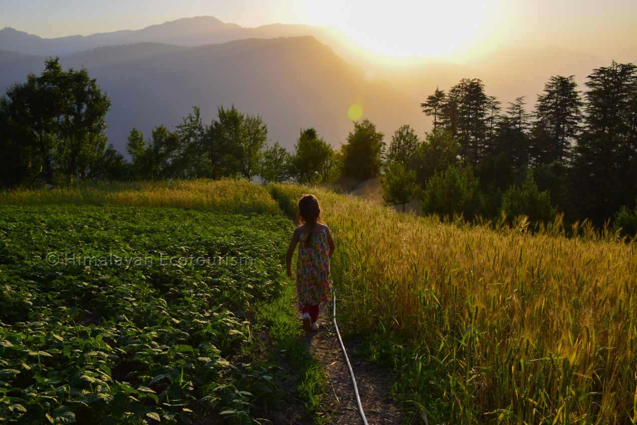 Sunset hike to Chehni Kothi