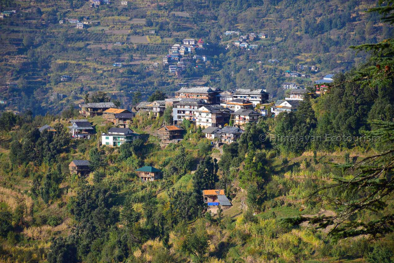 view from Chenni Kothi hike