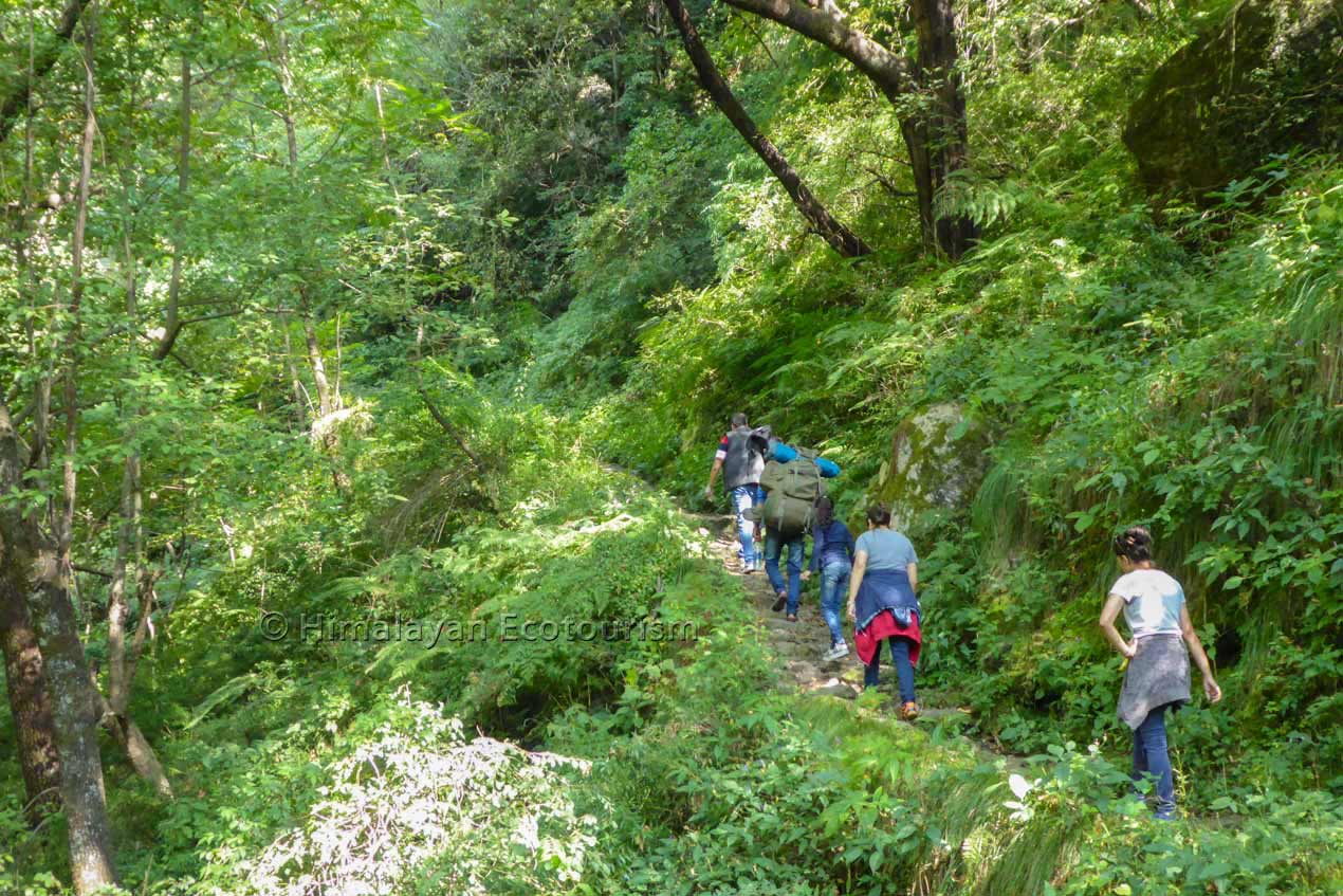 Easy trek in the Tirthan valley