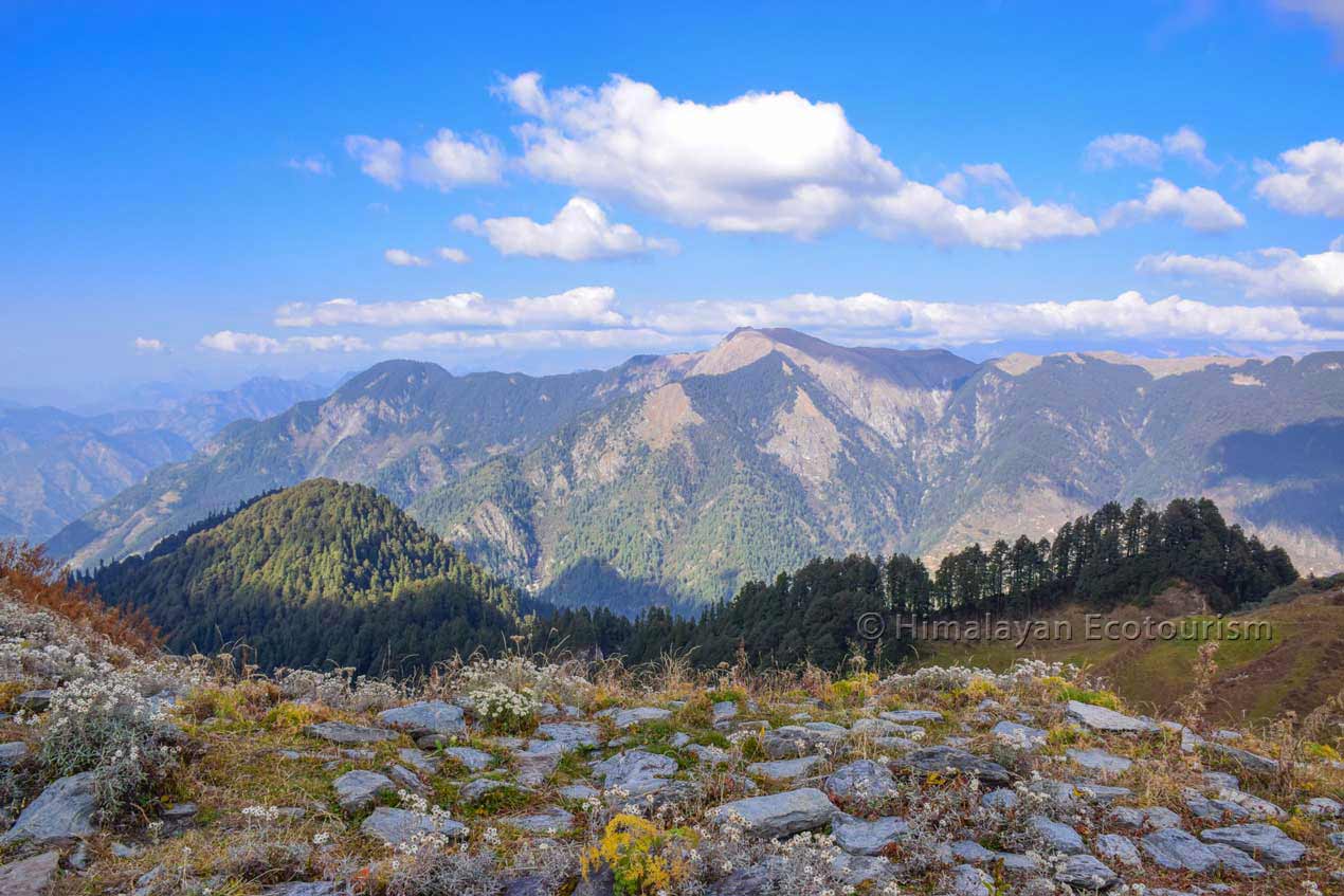 Great views and biodiversity on Jalori pass hike