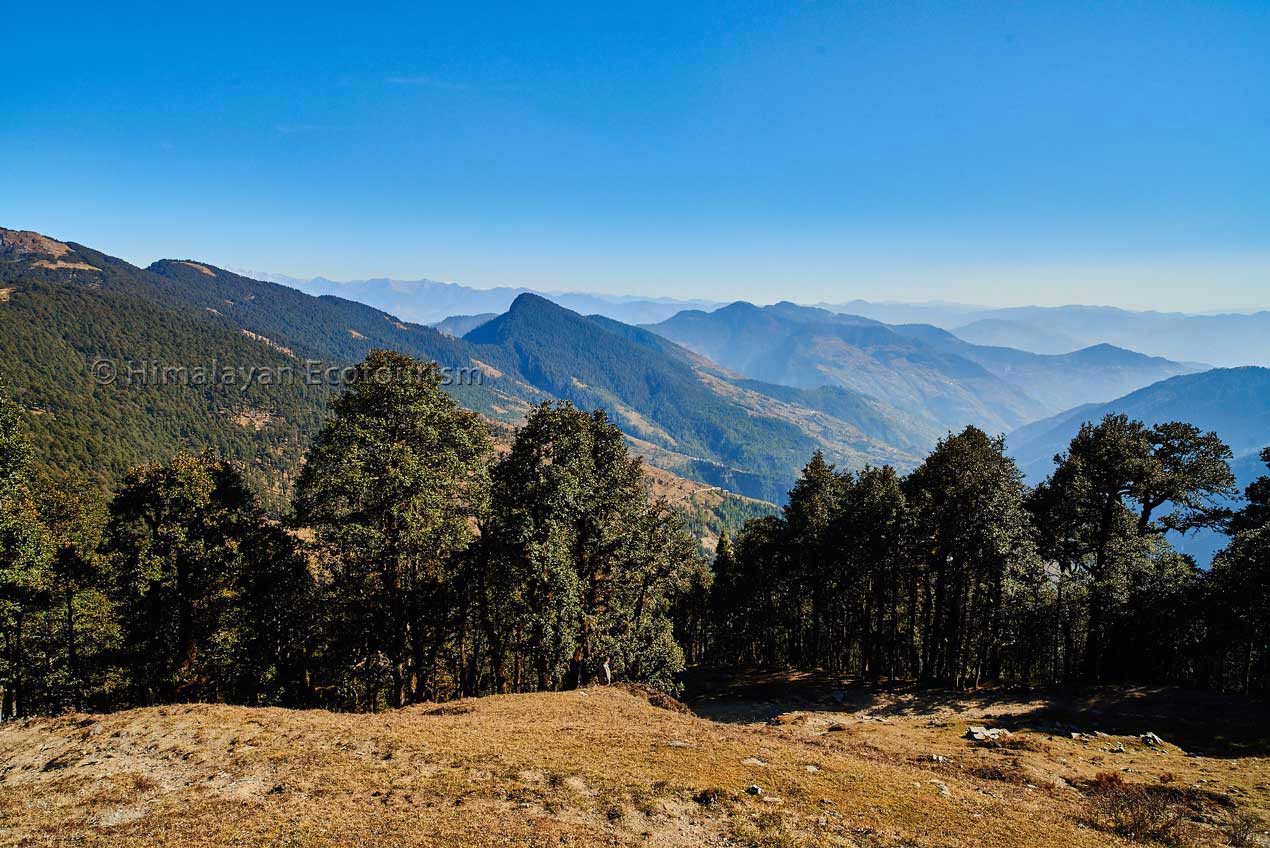 views on Jalori Pass hike