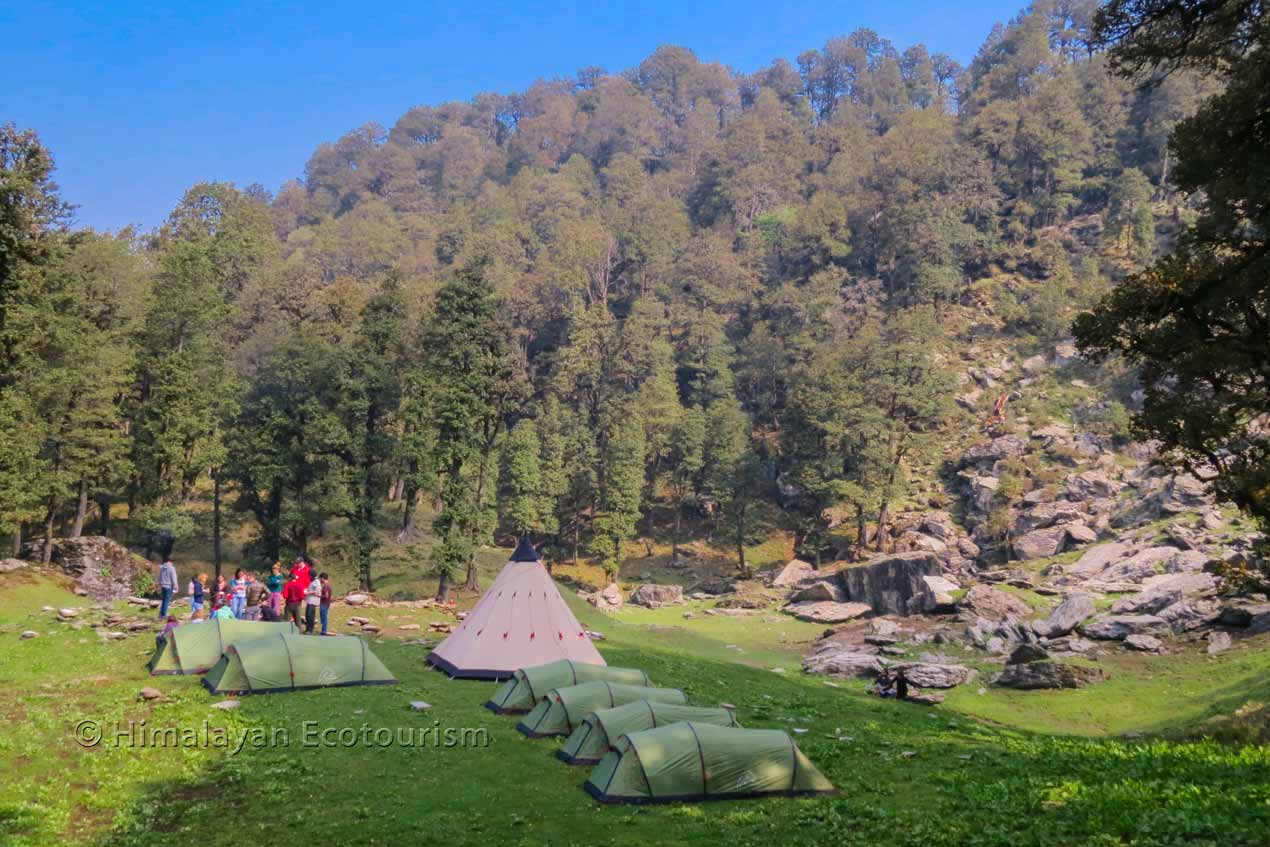 Camping in the wild near Jalori pass with Himalayan Ecotourism