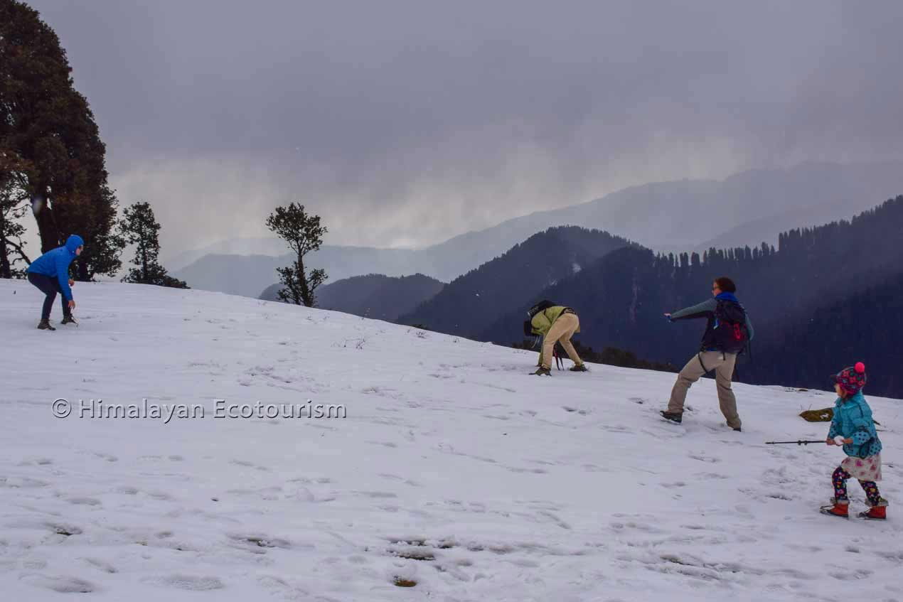 Snowball fight at Jalori pass