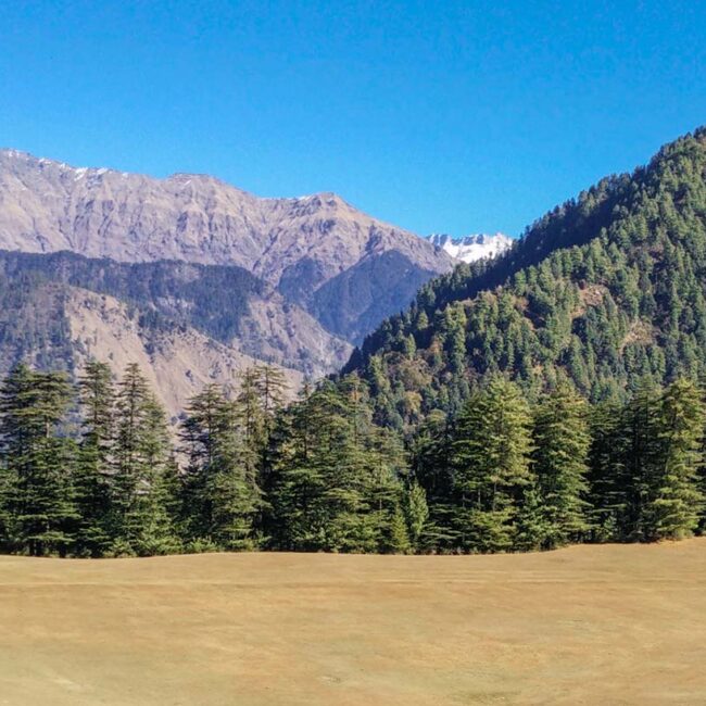 The Shangarh sacred meadow on Ookhal trek