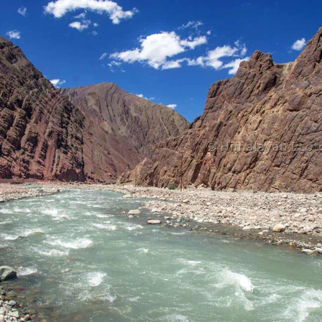 Hemis National Park in Ladakh