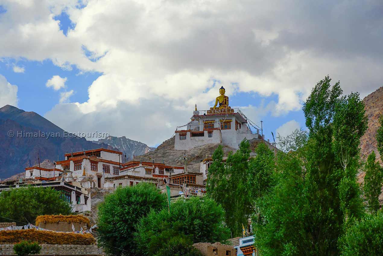 Hemis Shukpachan in Ladakh