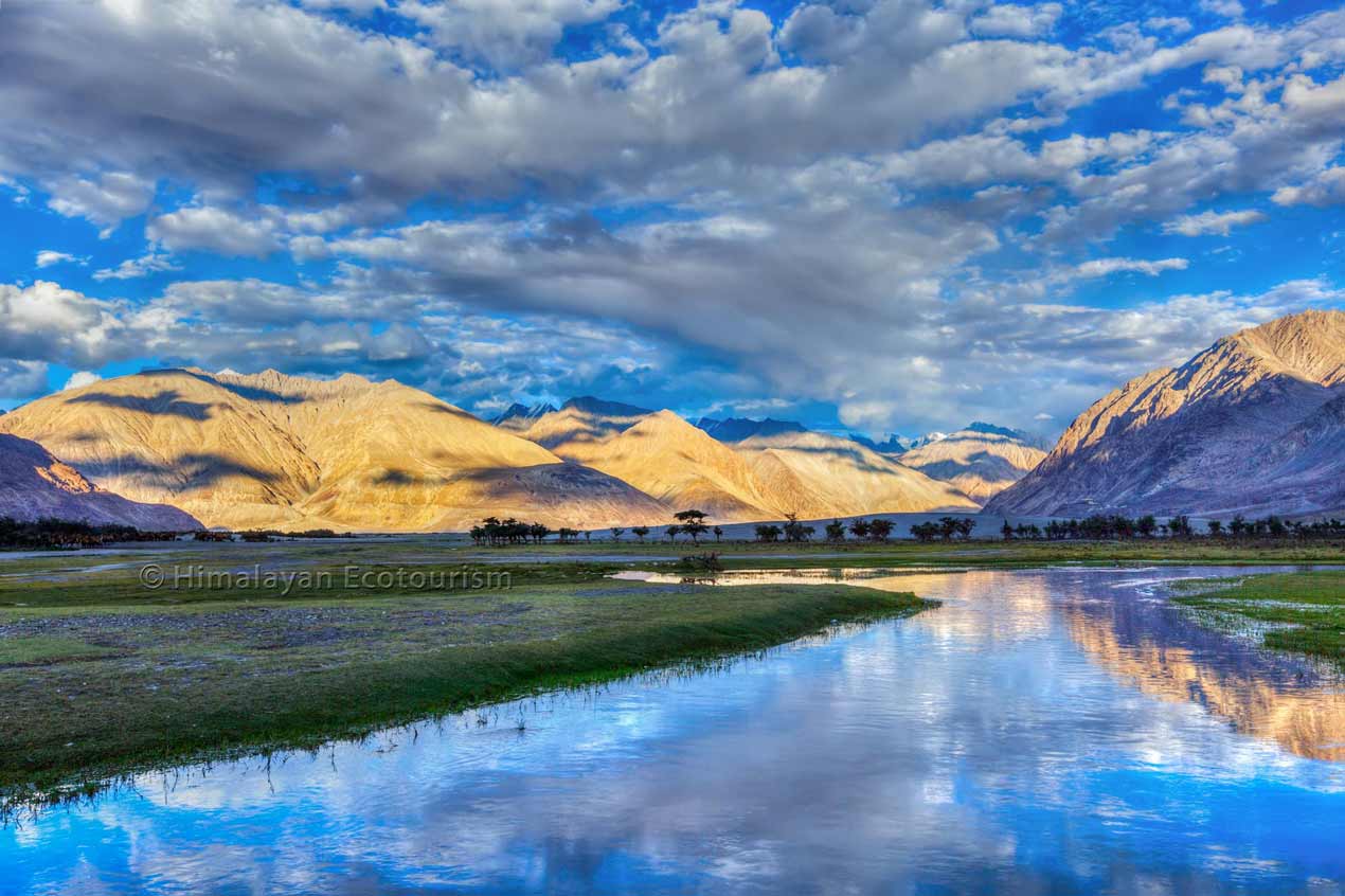 Nubra valley, Ladakh