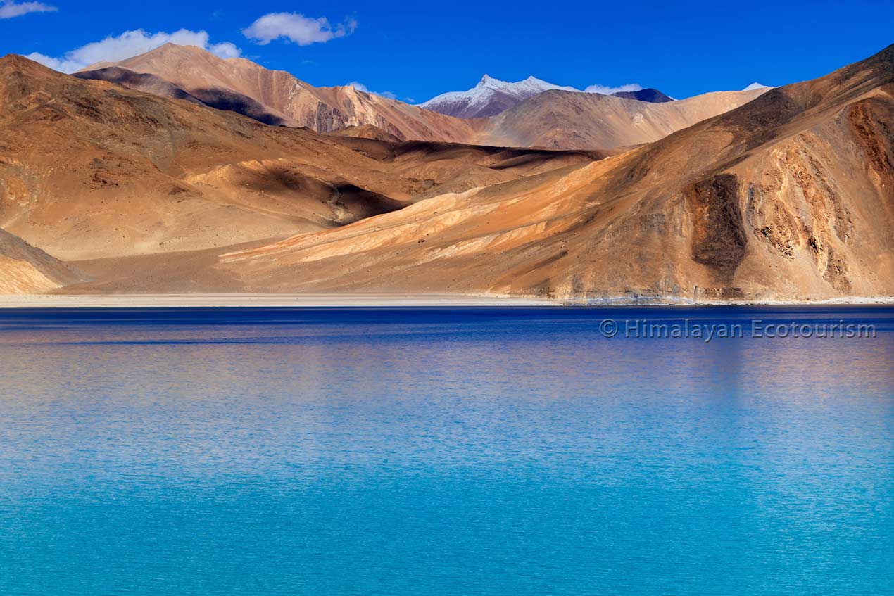 Pangong lake, Ladakh