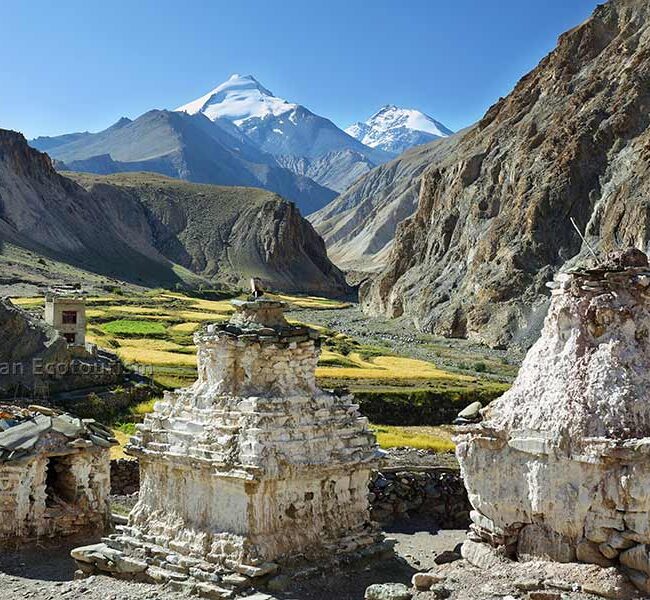 Beautiful Markha Valley trek