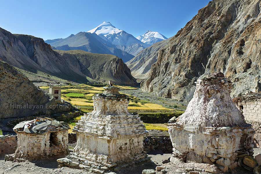 Beautiful Markha Valley trek