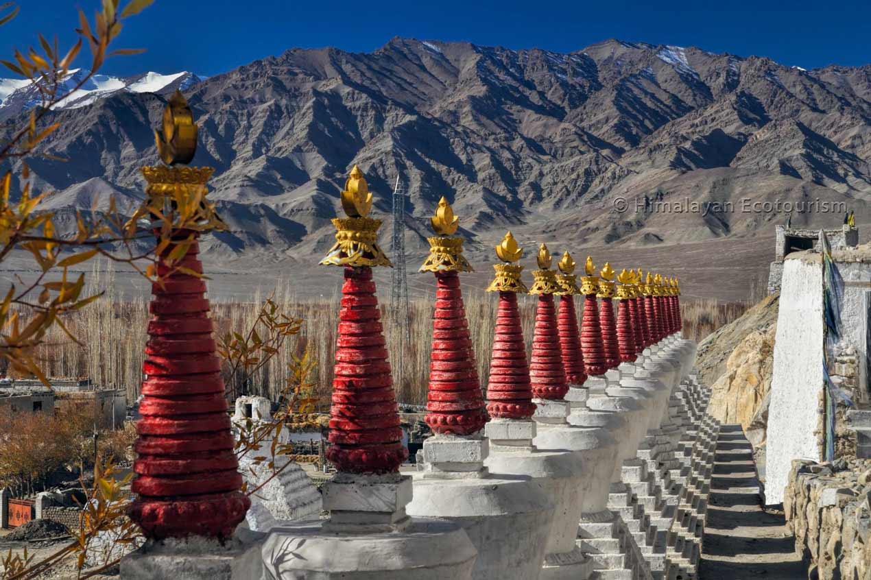 Row of Stupas in Ladakh