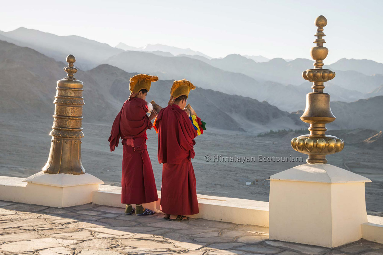 Young monks Praying at Spituk Monastery in Ladakh