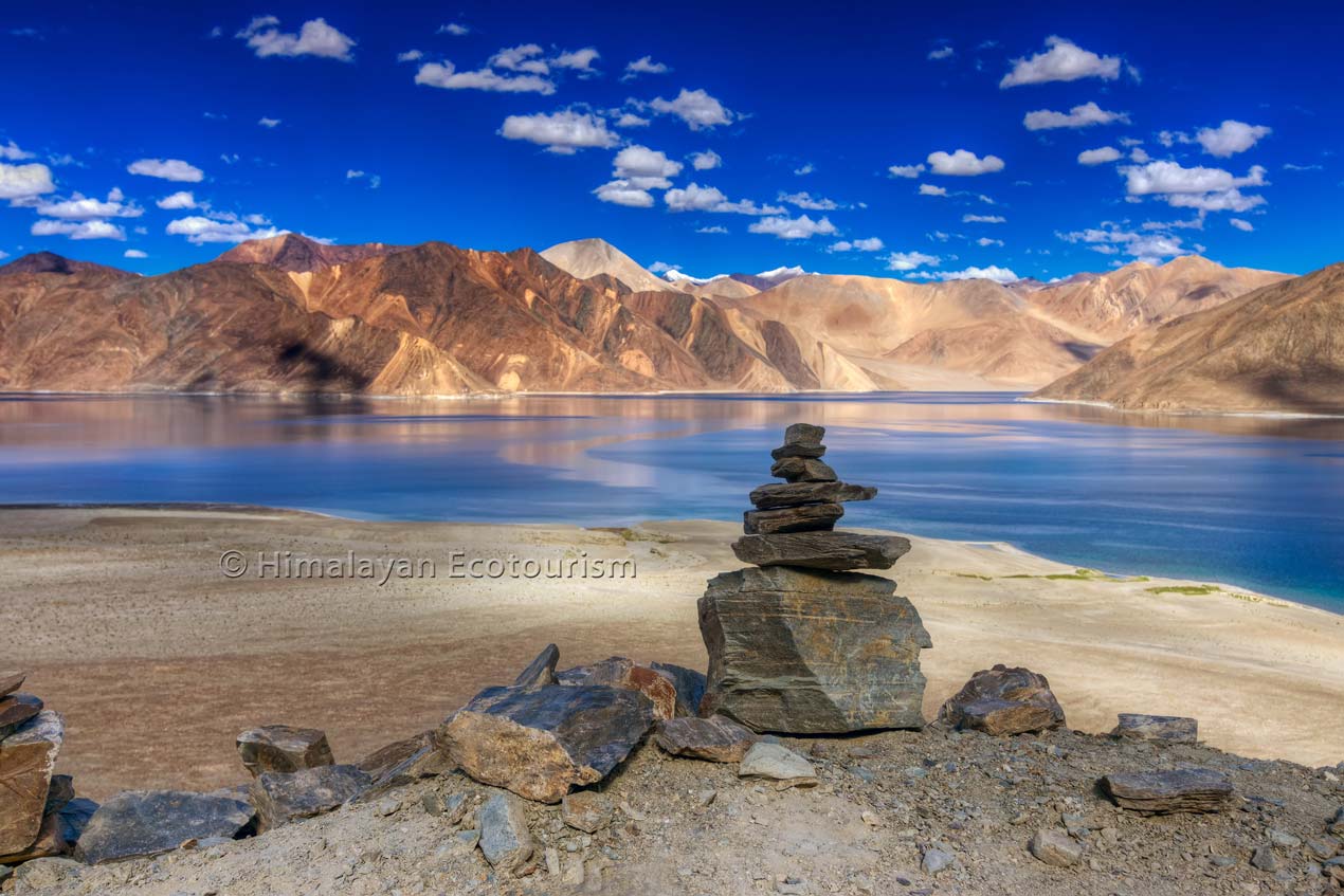 Pangong Tso in Ladakh