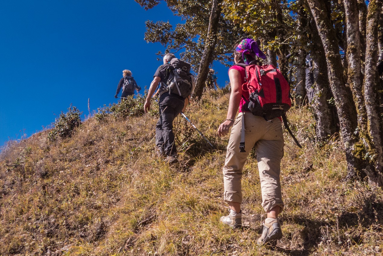 Beginners trek in the Great Himalayan National Park