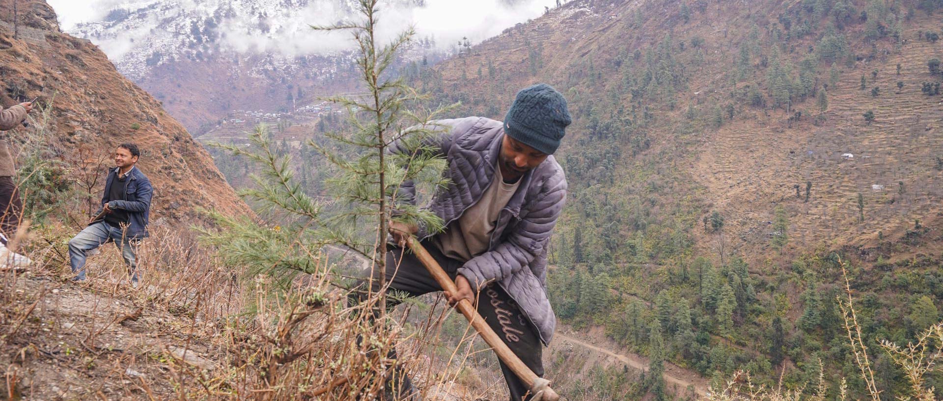 Reforestation program in Tirthan Valley by Himalayan Ecotourism