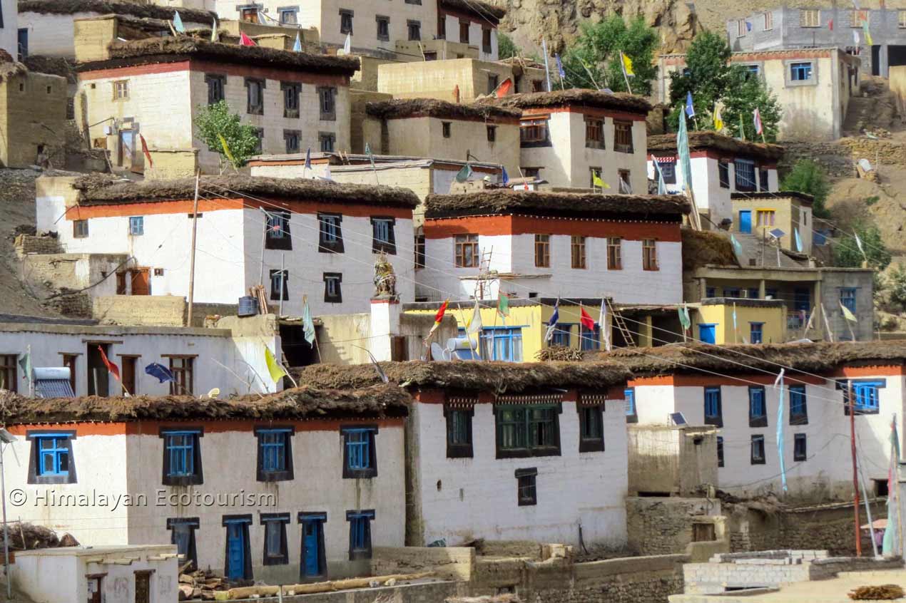 Kibber village, Spiti valley.