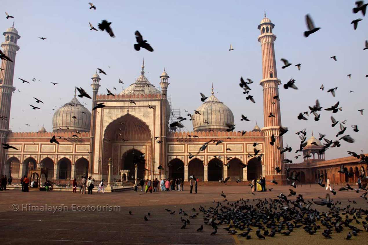 Jama Masjid, Old delhi.