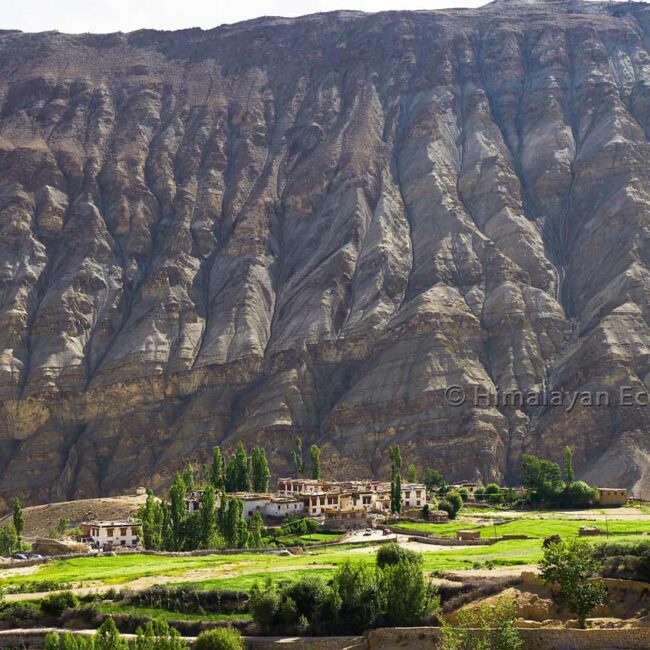 Temisgam in Ladakh