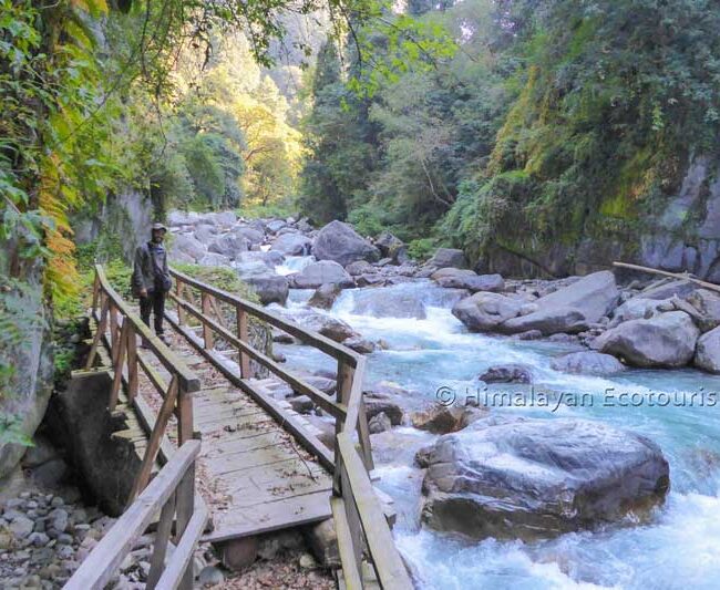 Hiking in the Great Himalayan National Park