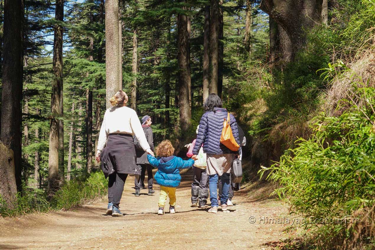 Easy hiking in the Tirthan valley