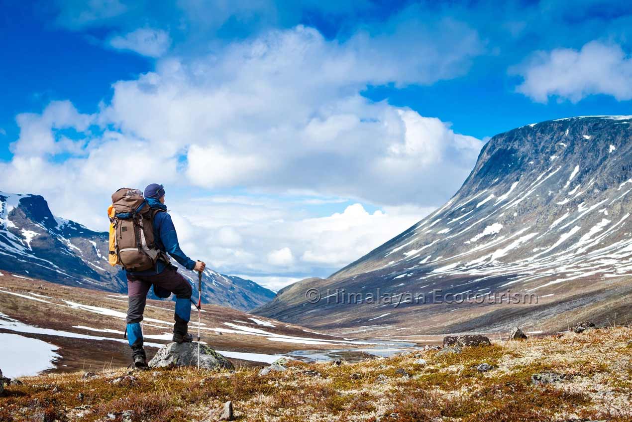 Trekking in Majestic Ladakh on the top