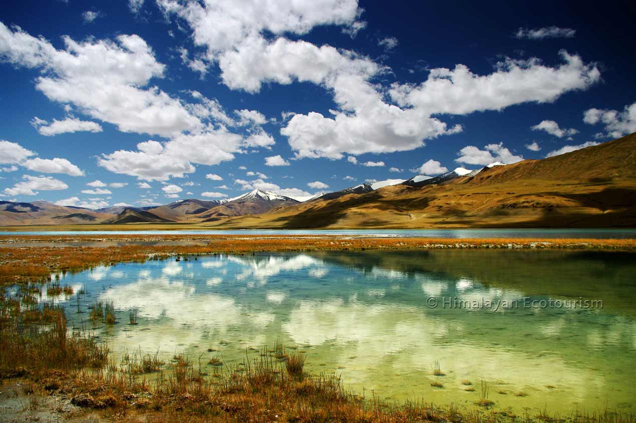 Tso Kar Lake in Ladakh