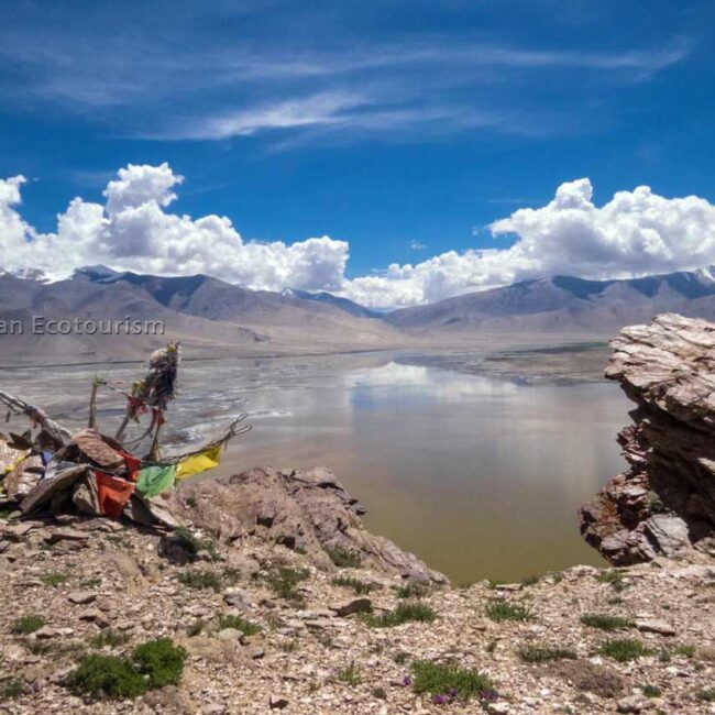 Tso Kar Lake in Ladakh