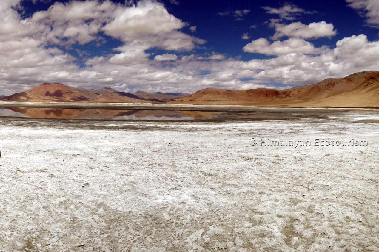 Tso Kar lake in Ladakh