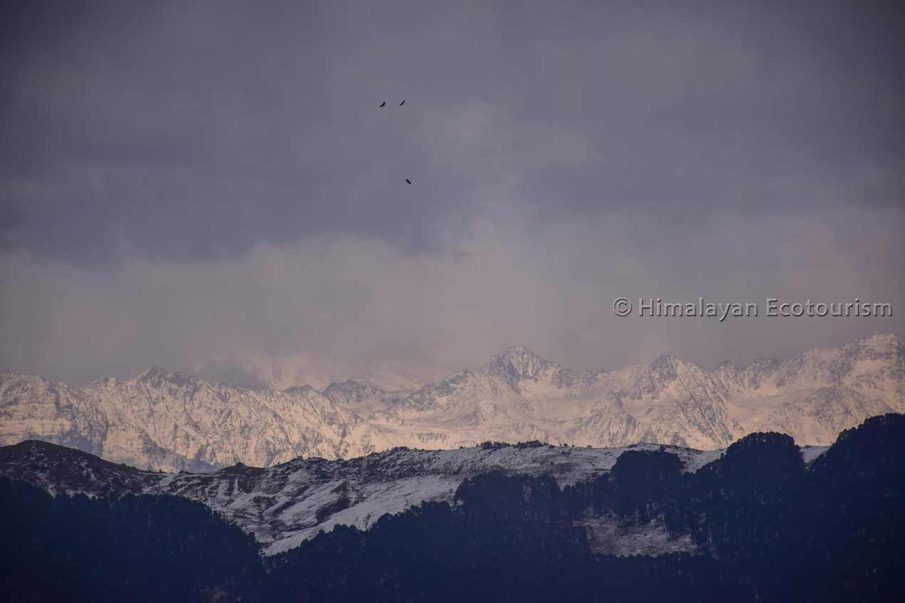 Majestic mountain view from Tirthan valley