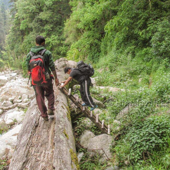 Trekking in the Great Himalayan National Park