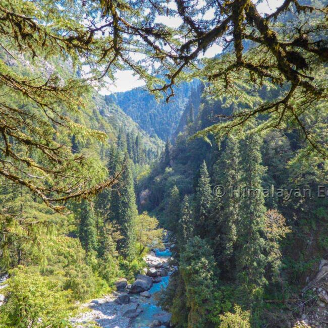 Wilderness in the Great Himalayan National Park